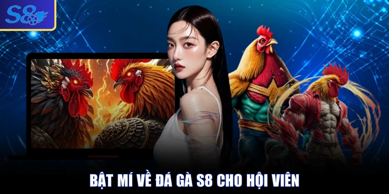 Bật mí về đá gà S8 cho hội viên tại nền tảng