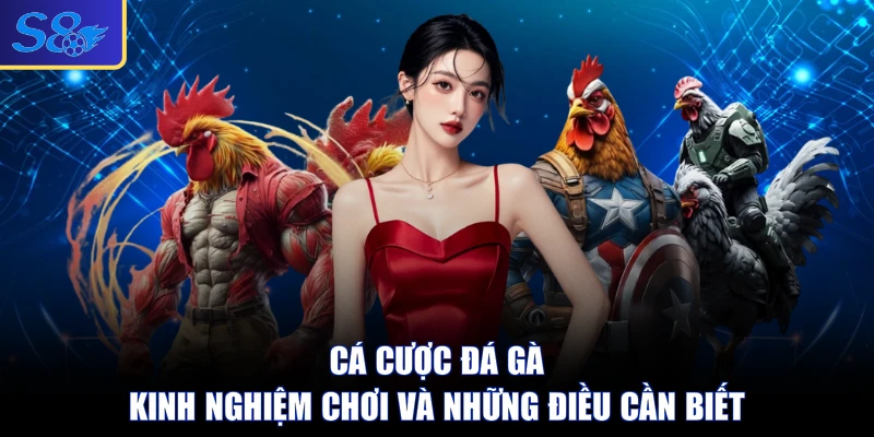 Cá Cược Đá Gà - Kinh Nghiệm Chơi Và Những Điều Cần Biết