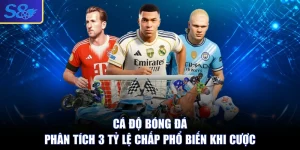 Cá Độ Bóng Đá - Phân Tích 3 Tỷ Lệ Chấp Phổ Biến Khi Cược