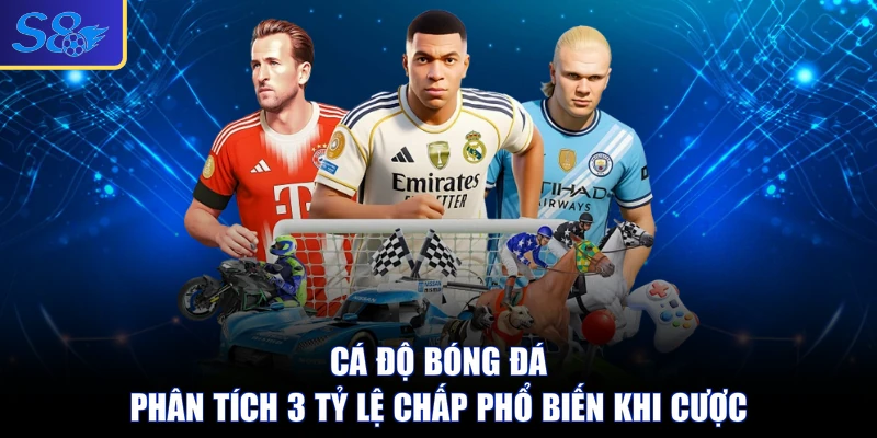 Cá Độ Bóng Đá - Phân Tích 3 Tỷ Lệ Chấp Phổ Biến Khi Cược