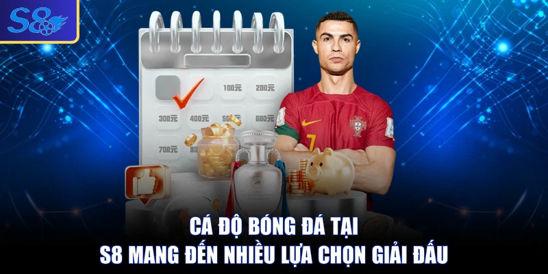 Cá độ bóng đá tại S8 mang đến nhiều lựa chọn giải đấu