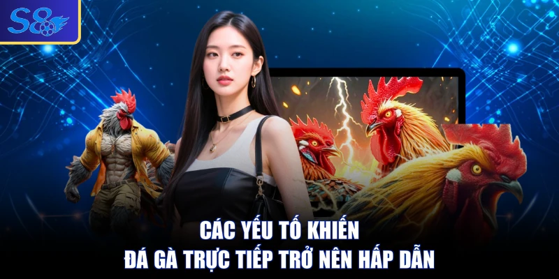 Các yếu tố khiến đá gà trực tiếp trở nên hấp dẫn
