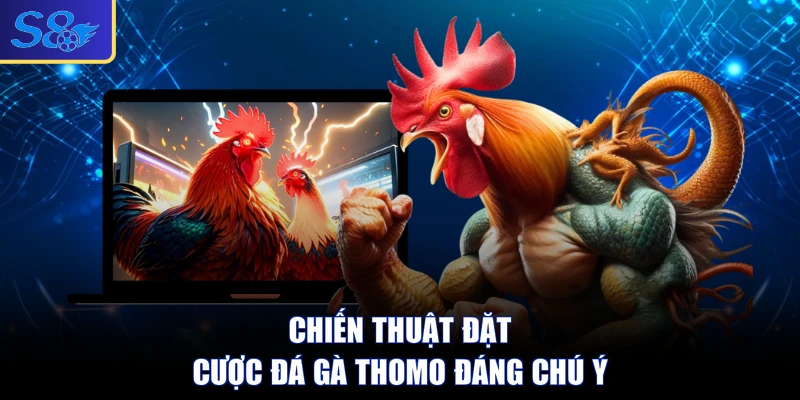 Chiến thuật đặt cược đá gà Thomo đáng chú ý