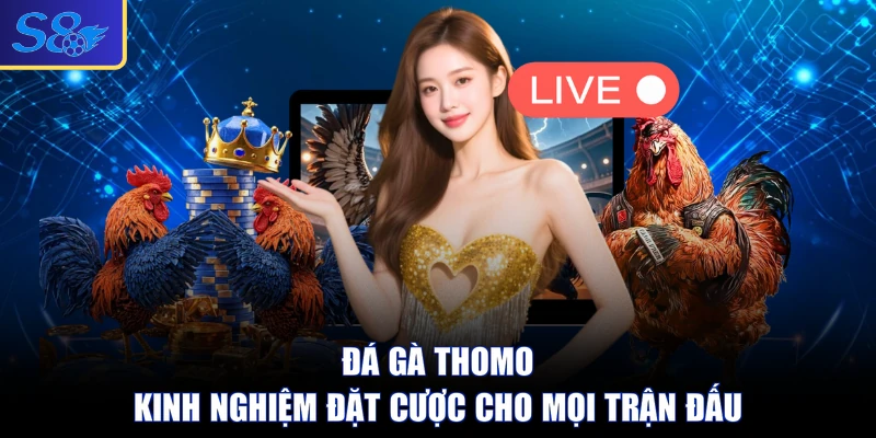 Đá Gà Thomo - Kinh Nghiệm Đặt Cược Cho Mọi Trận Đấu