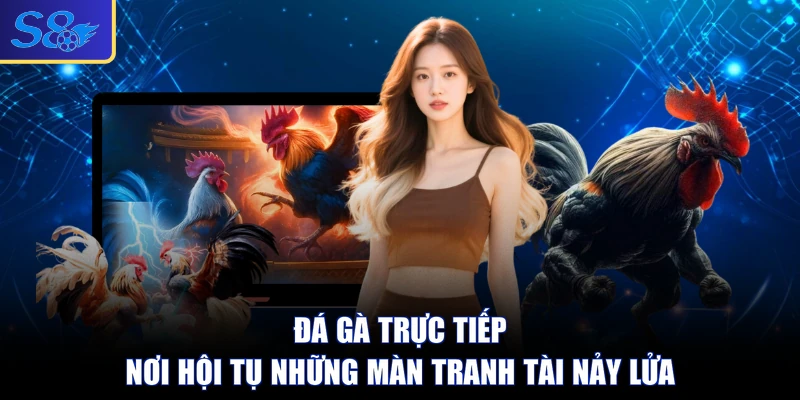 Đá Gà Trực Tiếp - Nơi Hội Tụ Những Màn Tranh Tài Nảy Lửa