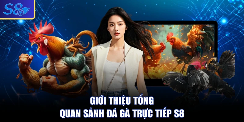 Giới thiệu tổng quan sảnh đá gà trực tiếp S8