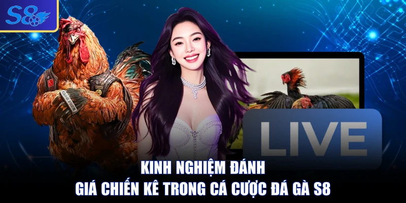 Kinh nghiệm đánh giá chiến kê trong cá cược đá gà S8