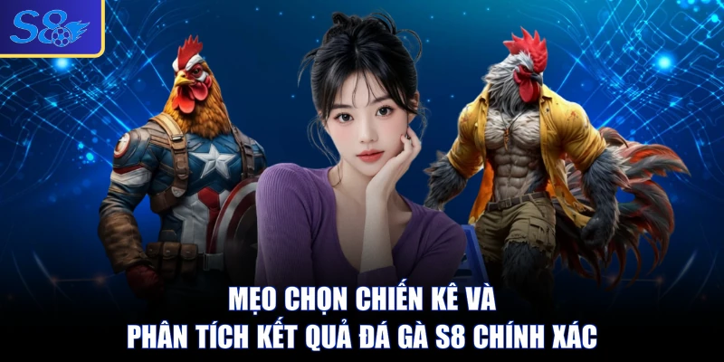 Mẹo chọn chiến kê và phân tích kết quả đá gà S8 chính xác